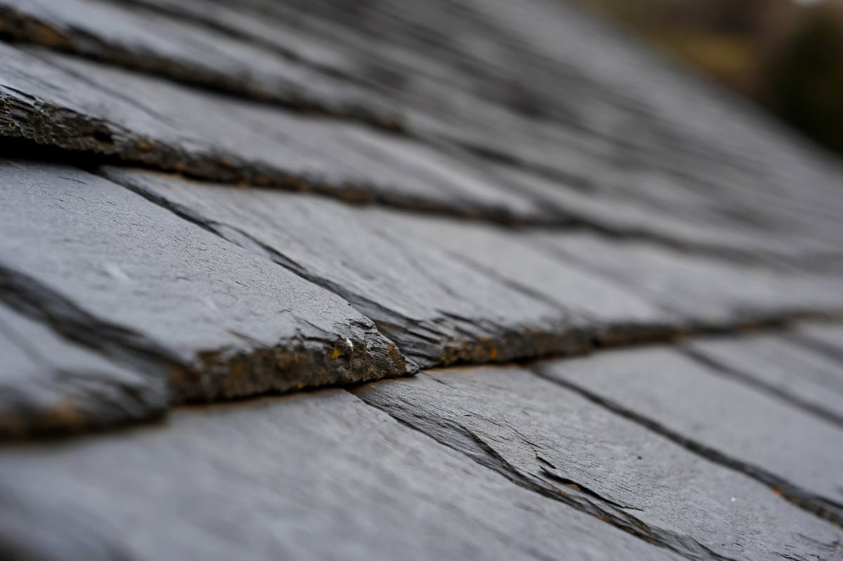 Natural slate roof tiles showing their texture and colour variation in morning light
